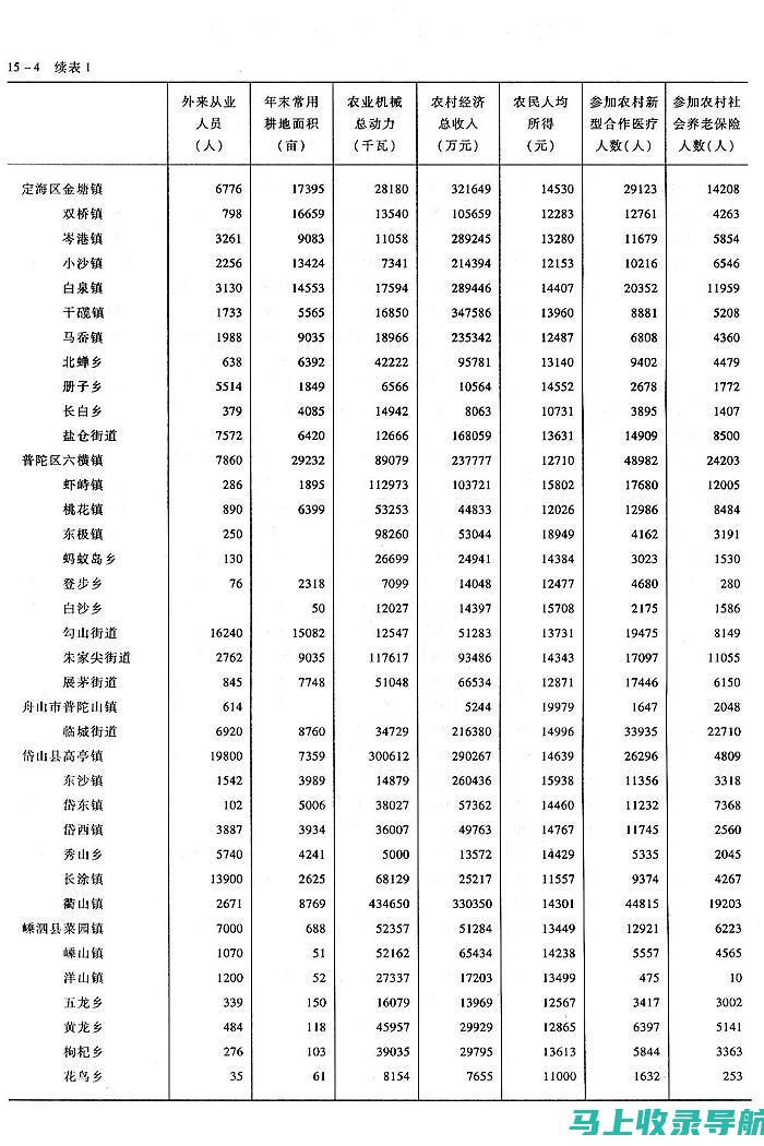 乡镇统计站长：统筹协调与数据管理的重要职责