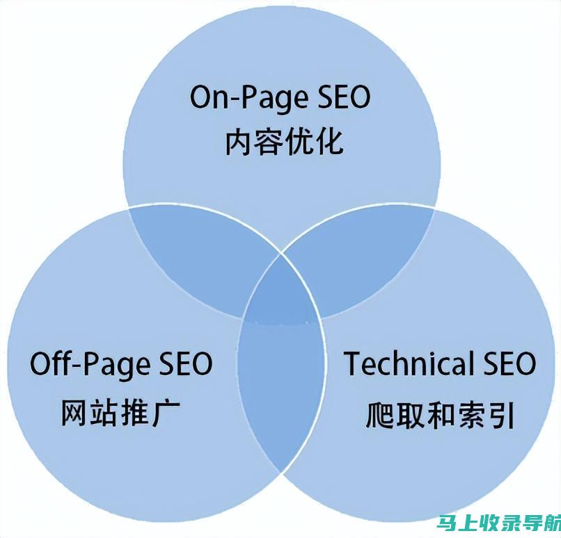 详解SEO站长工具的站内优化功能，提升网站质量的关键